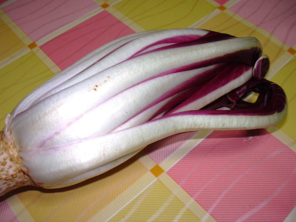 Radicchio rosso di treviso