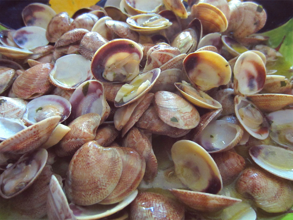 Vongole già sgusciate