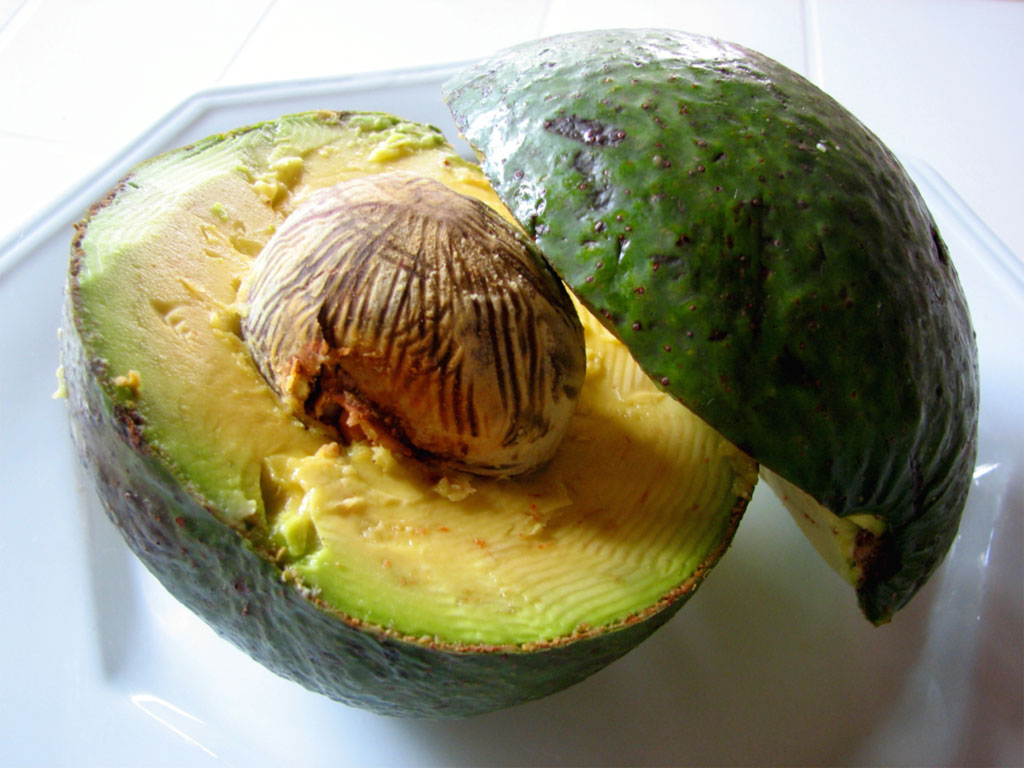 Avocado grande